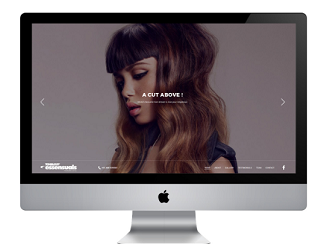 Web design and development for the franchise of Essensuals by TONI&GUY